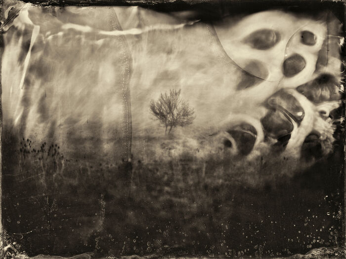 I Followed Oregon’s Tragic 1856 “Trail Of Tears” And Documented It With The Same Photo Process From That Era I Followed Oregon’s Tragic 1856 “Trail Of Tears” And Documented It With The Same Photo Process From That Era