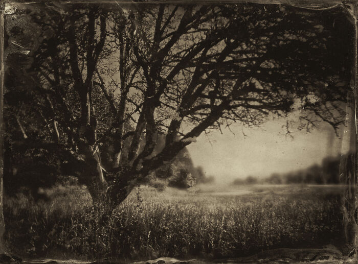 I Followed Oregon’s Tragic 1856 “Trail Of Tears” And Documented It With The Same Photo Process From That Era I Followed Oregon’s Tragic 1856 “Trail Of Tears” And Documented It With The Same Photo Process From That Era