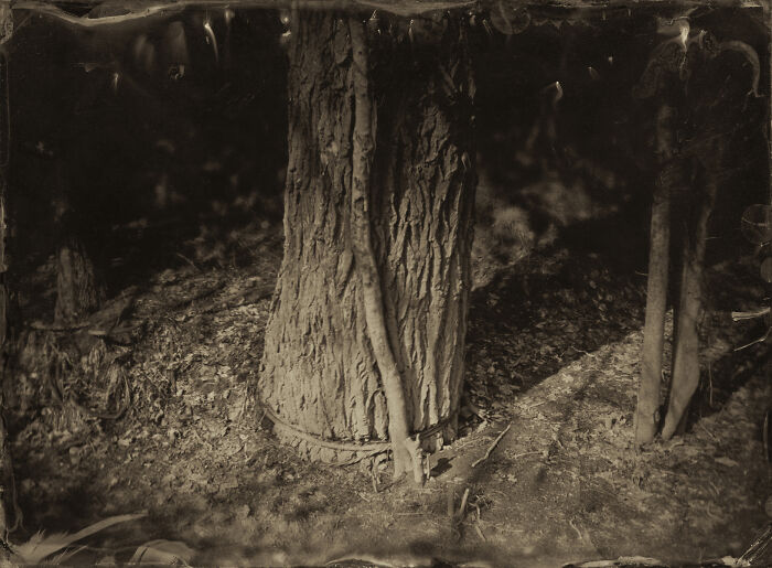 I Followed Oregon’s Tragic 1856 “Trail Of Tears” And Documented It With The Same Photo Process From That Era I Followed Oregon’s Tragic 1856 “Trail Of Tears” And Documented It With The Same Photo Process From That Era