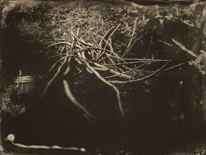 I Followed Oregon’s Tragic 1856 “Trail Of Tears” And Documented It With The Same Photo Process From That Era I Followed Oregon’s Tragic 1856 “Trail Of Tears” And Documented It With The Same Photo Process From That Era