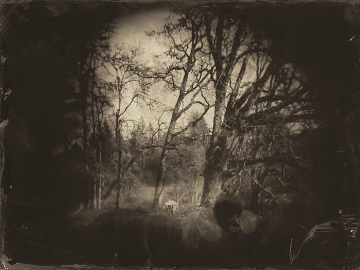 I Followed Oregon’s Tragic 1856 “Trail Of Tears” And Documented It With The Same Photo Process From That Era I Followed Oregon’s Tragic 1856 “Trail Of Tears” And Documented It With The Same Photo Process From That Era