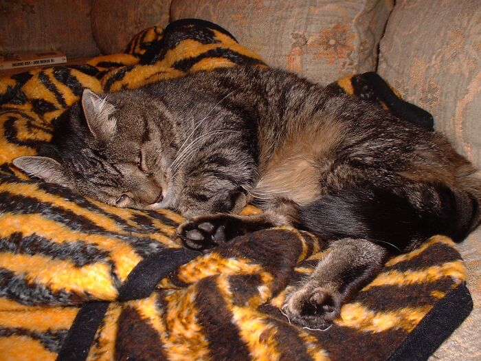 There Have Been Many, But Eben Was Something Special