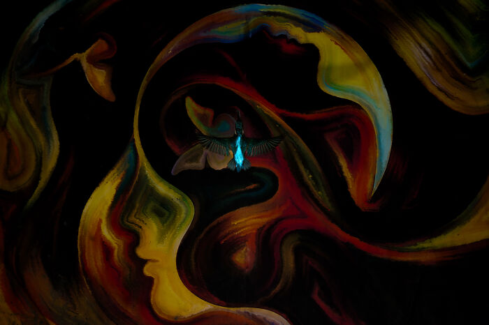 Abstract colorful painting with a glowing bird in flight, representing creativity in bird photographer of the year contest.