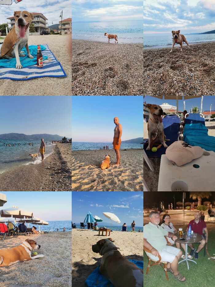 Everything I Know About Love, I Learned From My Dog (35 Pics) Everything I Know About Love, I Learned From My Dog (35 Pics)