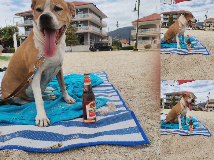 Everything I Know About Love, I Learned From My Dog (35 Pics) Everything I Know About Love, I Learned From My Dog (35 Pics)