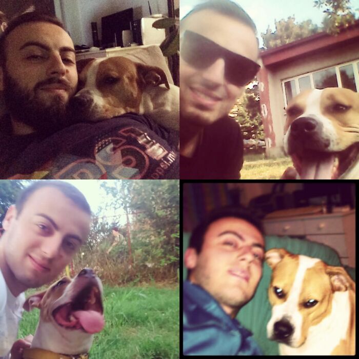 Everything I Know About Love, I Learned From My Dog (35 Pics) Everything I Know About Love, I Learned From My Dog (35 Pics)