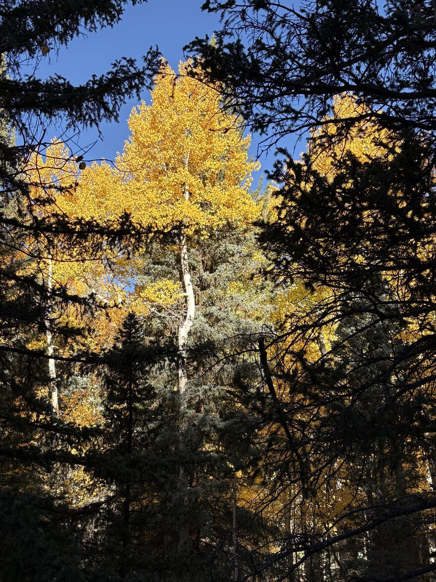 Good Morning Good Morning