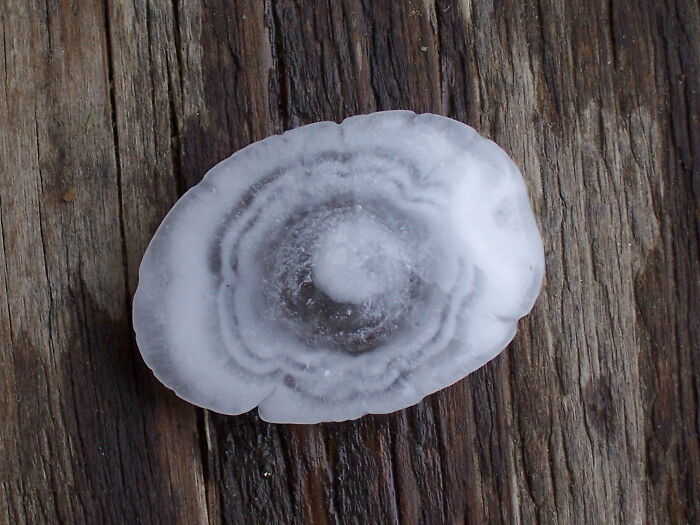 Close-up of unique hailstone resting on wooden surface illustrating incredible weather records and powerful natural phenomena.