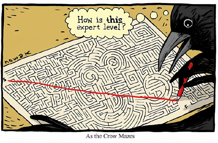Crow solving a complex maze with a straight red line, humorously questioning the expert level in a one-panel comic style.