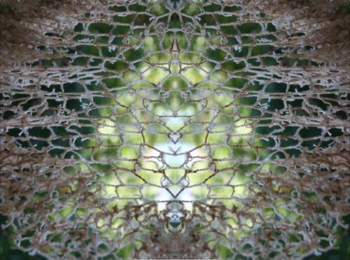 Here's How An Artist Connects The World With Tea Bags