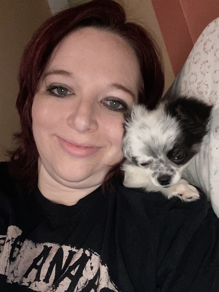 Life Of A Crazy Chihuahua Mama (35 Pics)