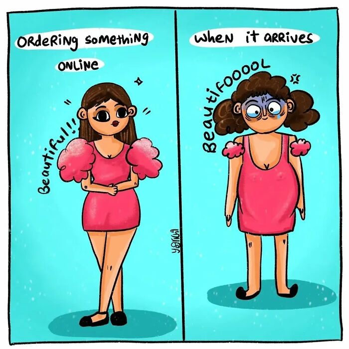 Comic illustrating the everyday struggles of modern life with expectations versus reality of online shopping in a relatable style.