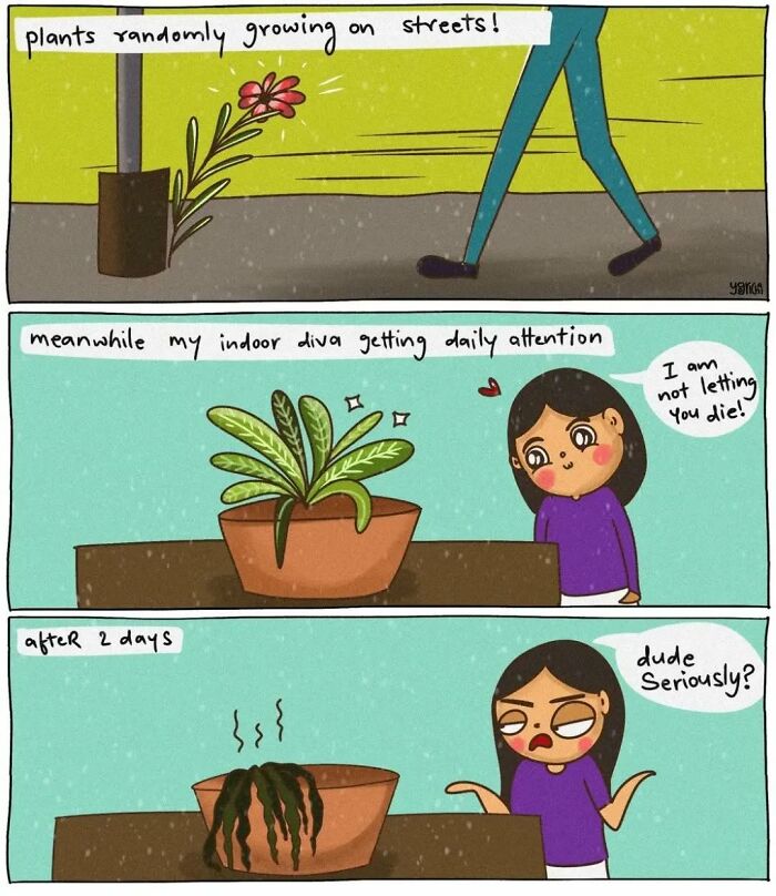 Comic illustrating everyday struggles of modern life with plants and relatable humor in three panels.
