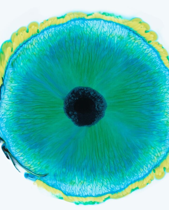Close-up image of ink and water blending to create a hypnotic pattern resembling a human eye.