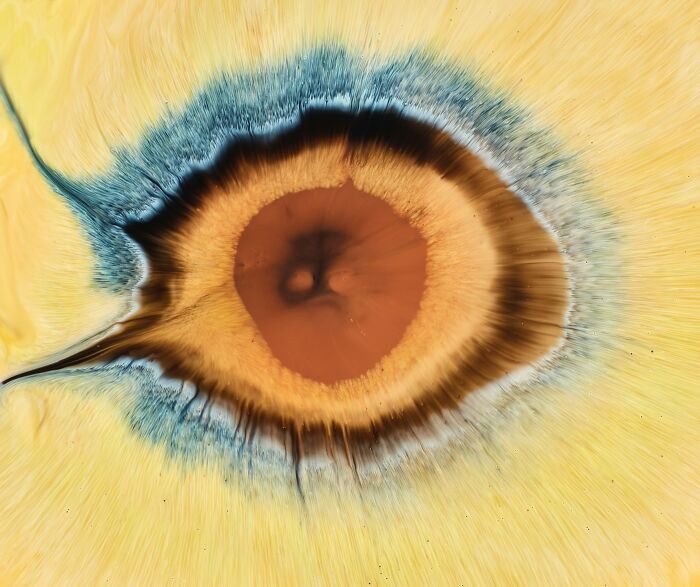 Ink and water blend in a hypnotic image resembling a human eye with vivid brown, blue, and yellow hues.