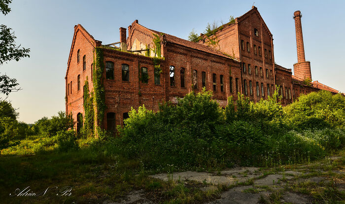 Abandoned Vinegar Factory In Margina, Romania