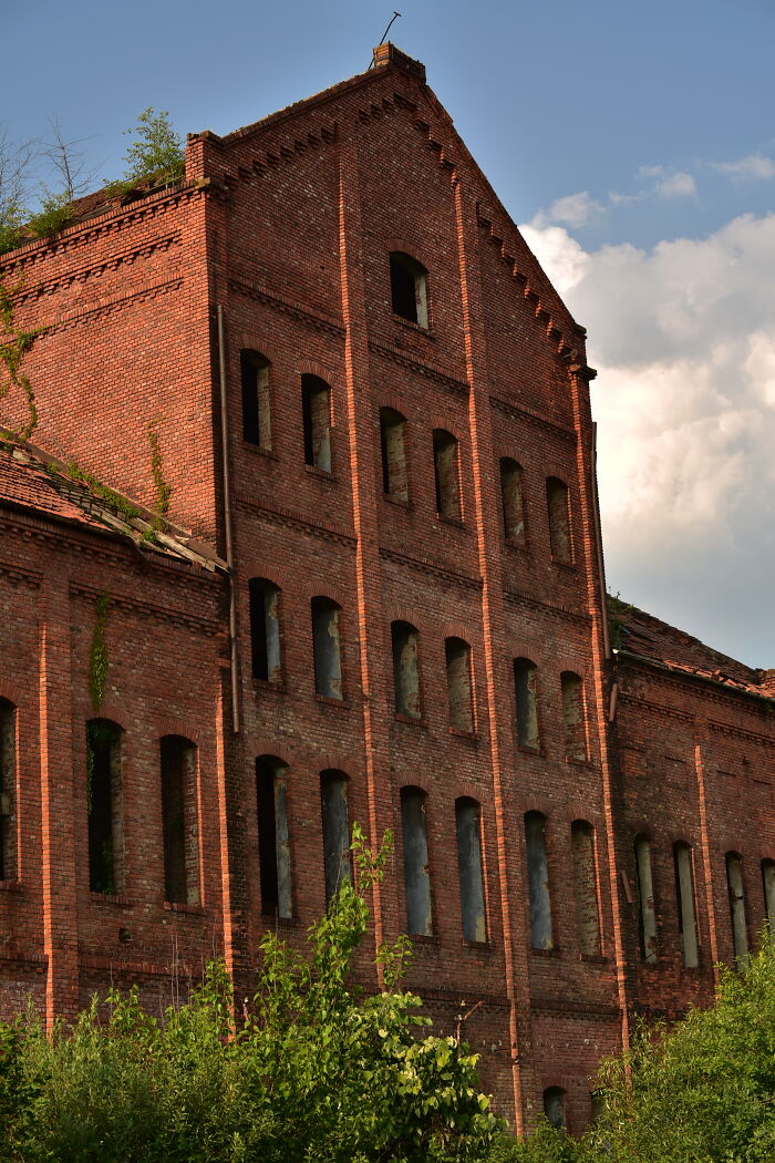 Abandoned Vinegar Factory In Margina, Romania