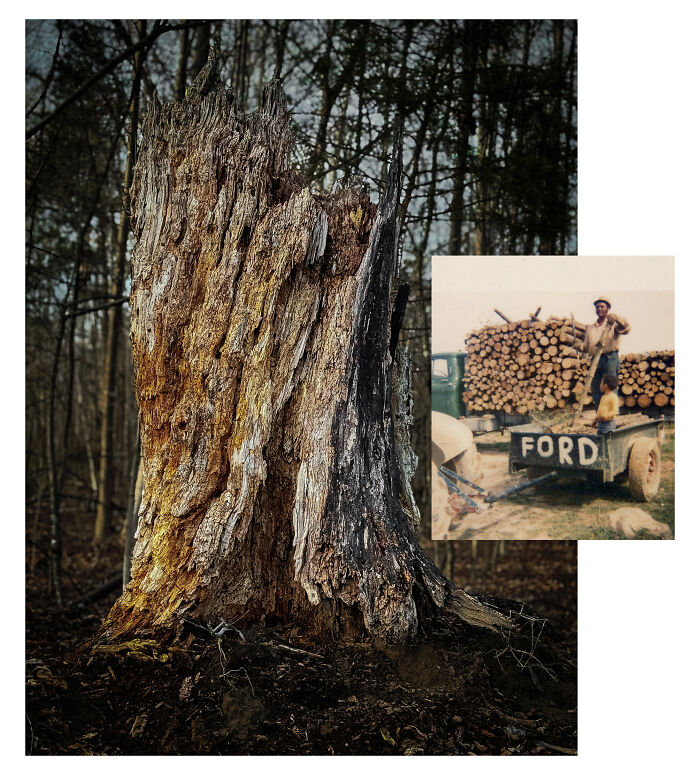 Toil & Strife By Benita Mayo