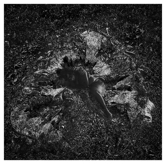 Rebirth By Benita Mayo