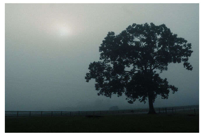 Sunrise Behind The Clouds By Benita Mayo