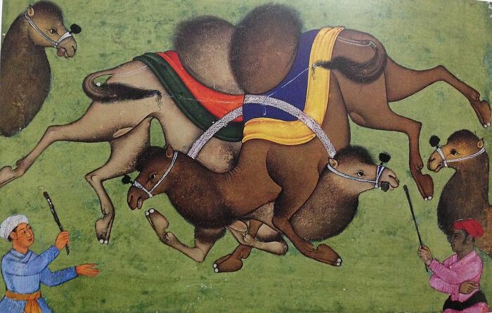 Painting of an unhinged historical sport showing camels mid-air with handlers on a green background.