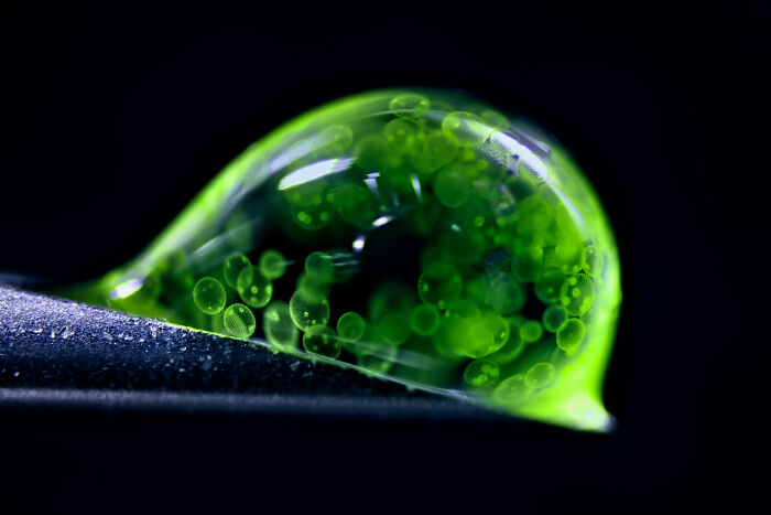 Close-up of a glowing green microscopic droplet with bubble-like structures in the 2025 Nikon Small World photomicrography contest.