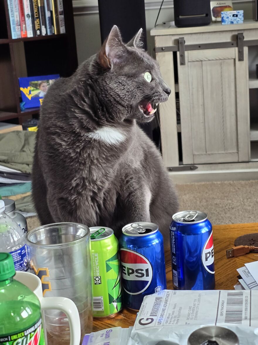 Not Another New Flavor! Not Another New Flavor!