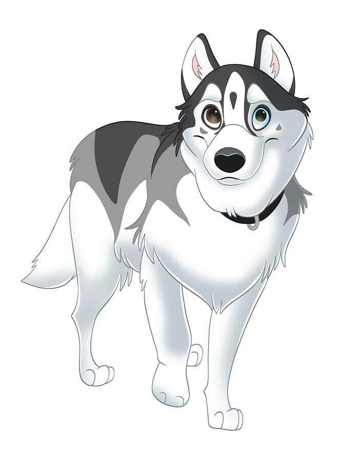 Disney-style pet portrait of a happy husky dog with heterochromia, showcasing adorable and heartwarming character design.