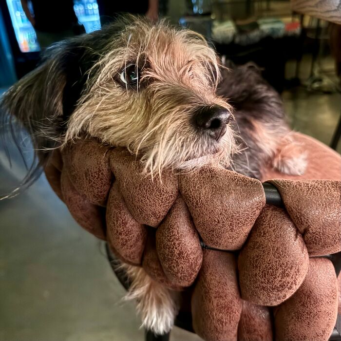 Little Miss Kasi, The Queen Of The Brewery