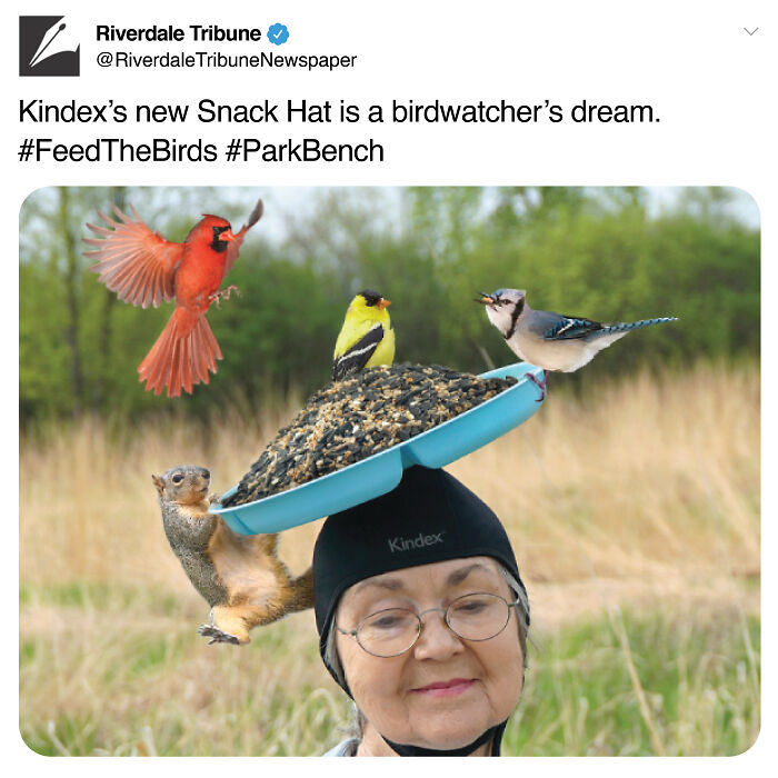 Humorous prank involving a snack hat attracting birds and a squirrel, showcasing fake gift box creativity and fun flyers.