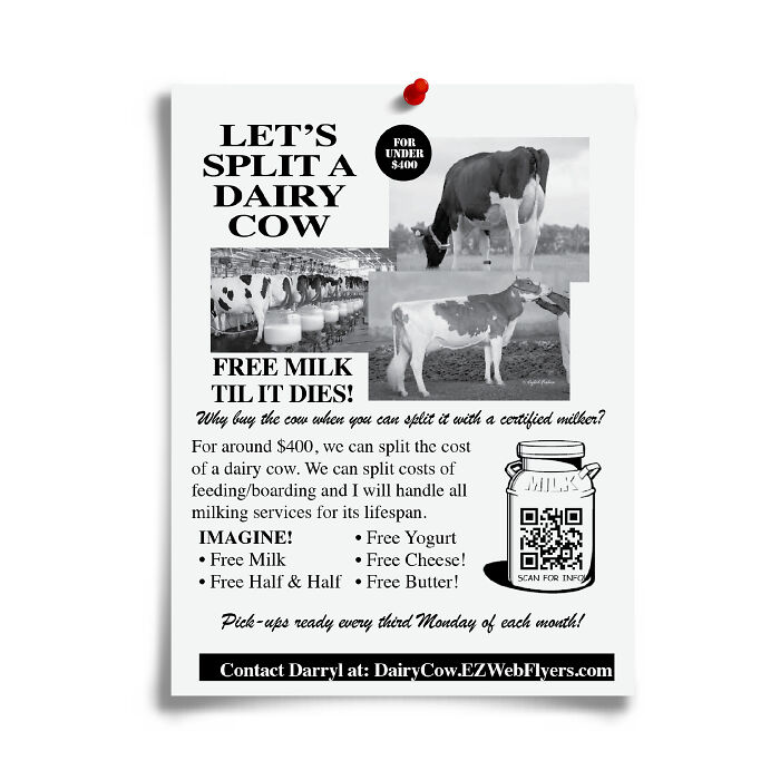Humorous flyer advertising splitting the cost of a dairy cow with free milk, cheese, and butter in prank gift style.