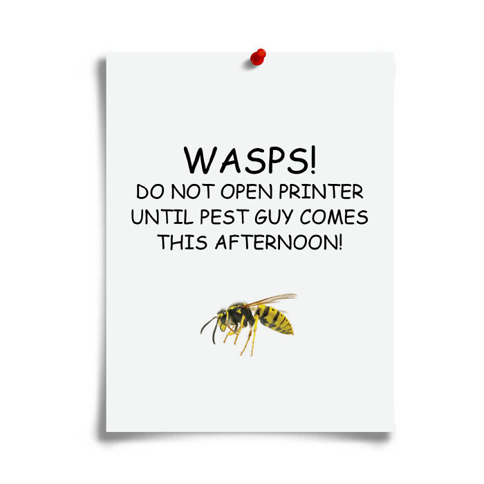 Humorous flyer with a wasp warning and a realistic illustration, part of prank-o fake gift boxes and flyers collection.