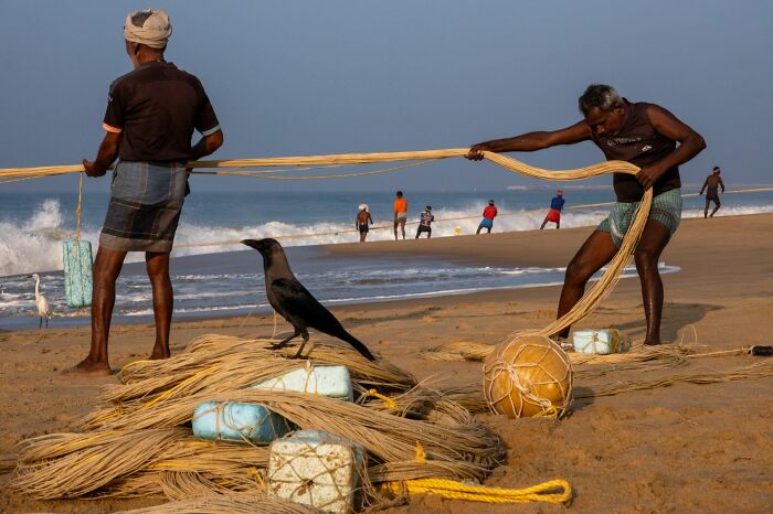 Fishermen working with nets on a beach as a crow perches nearby in a pure street photography awards image.
