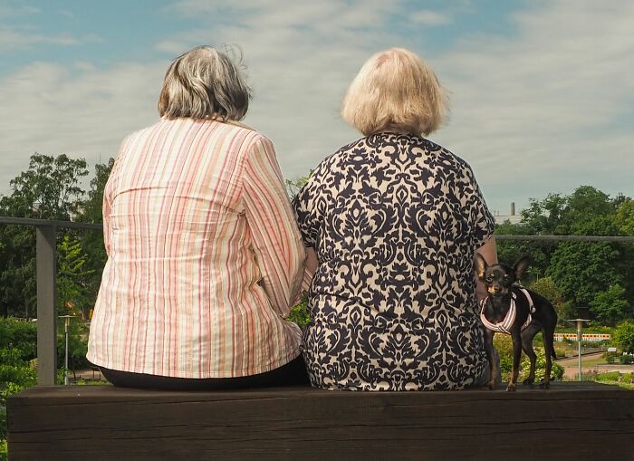 Two elderly women sitting on a bench with a small dog, capturing candid moments in pure street photography awards.