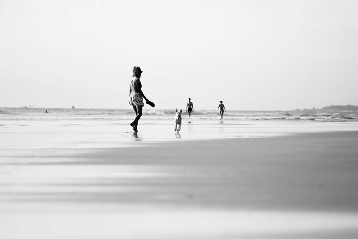 Black and white street photography of people and a dog walking along a wide, reflective beach shore at low tide.