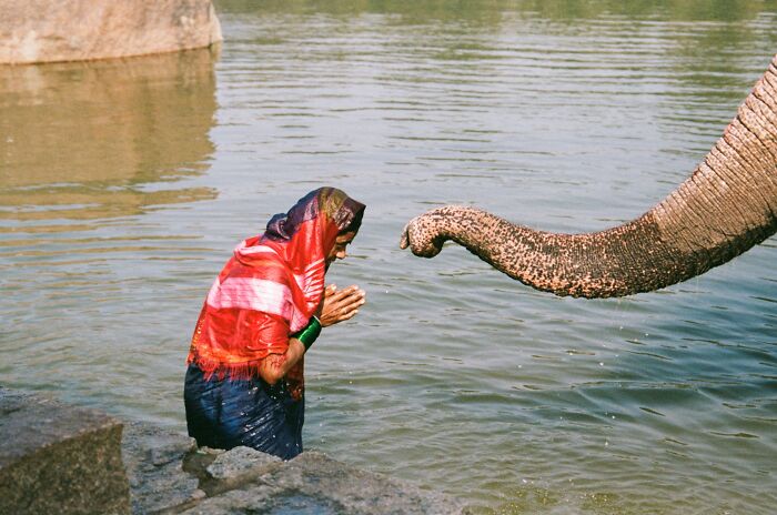 Woman in colorful clothes interacting with an elephant near water, capturing the soul of the streets in street photography.