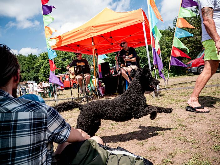 Black dog jumping in front of live musicians under an orange tent at a colorful outdoor street event.