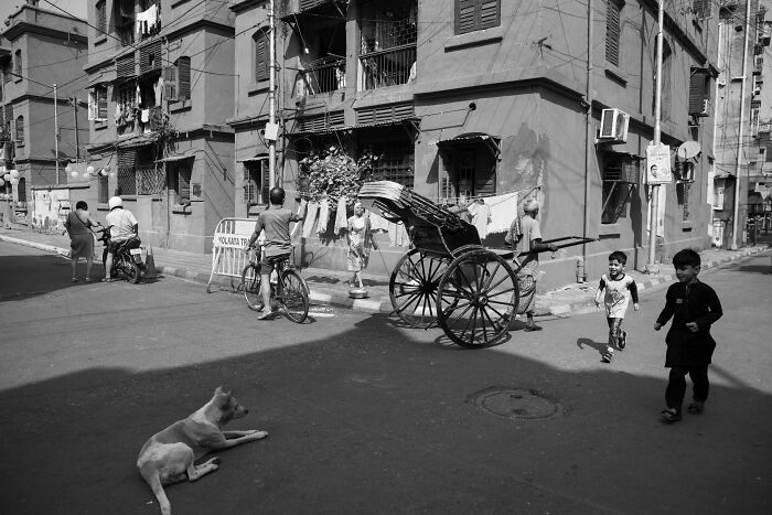 Black and white street photography featuring people, bicycles, a rickshaw, and a dog in an urban neighborhood scene.
