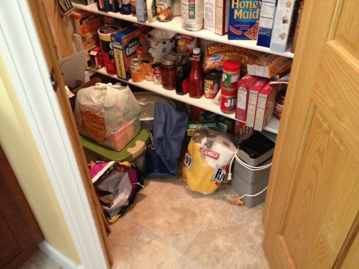 Cat blending into a cluttered pantry floor near household items, perfectly camouflaged with the background surroundings.