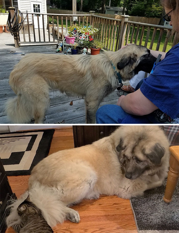 Ren - Day Of Adoption And Last Year