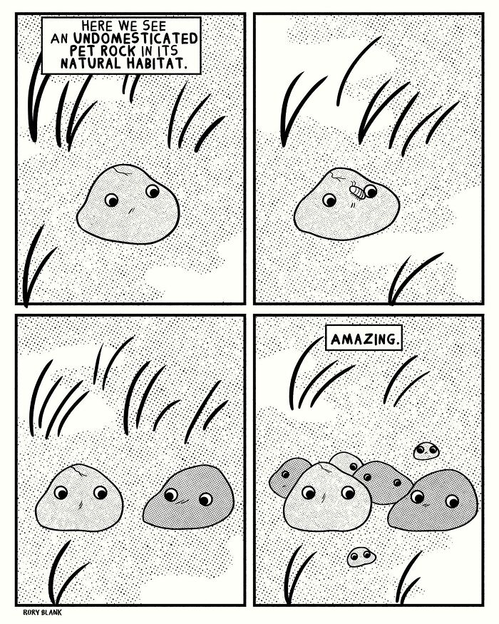 Comic showing an undomesticated pet rock in nature with humorous captions, part of darkly funny comics collection.