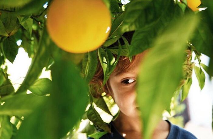 Childhood moment captured as a young child peeks through green leaves, showcasing beautiful photos of childhood around the world.