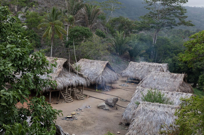 Traditional thatched huts surrounded by dense tropical forest in a mysterious and magical imaginary world setting
