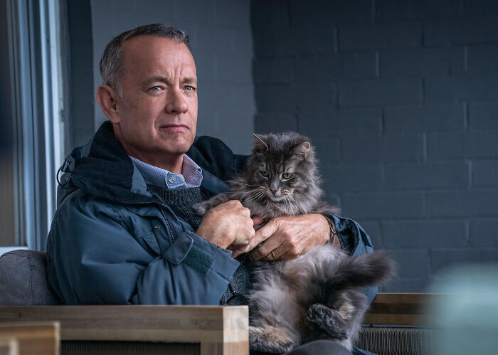 Man holding a gray fluffy cat on his lap, showcasing a calm moment related to unknown things about celebrities.