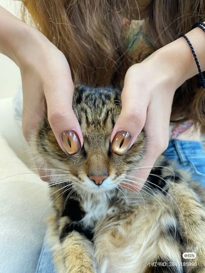 Cat with person’s hands holding its face, showing nails painted like cat eyes, capturing a hilarious cat moment.