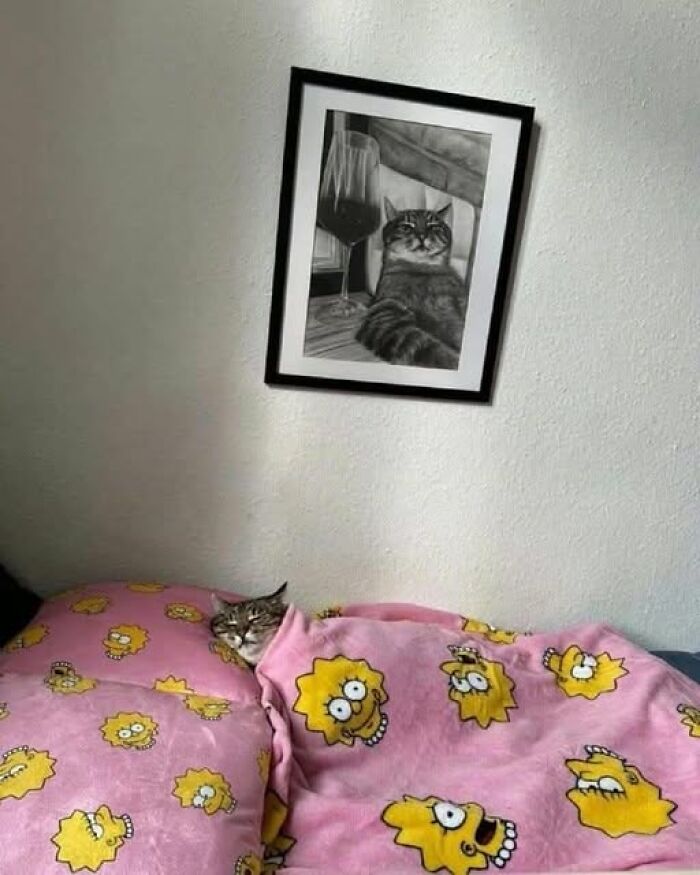 Cat tucked in a pink blanket with cartoon faces, sleeping peacefully beneath a framed hilarious cat photo on the wall.