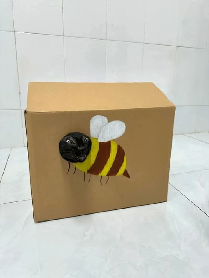 Black cat poking head through bee drawing on cardboard box, funny and hilarious cat moment caught on camera.