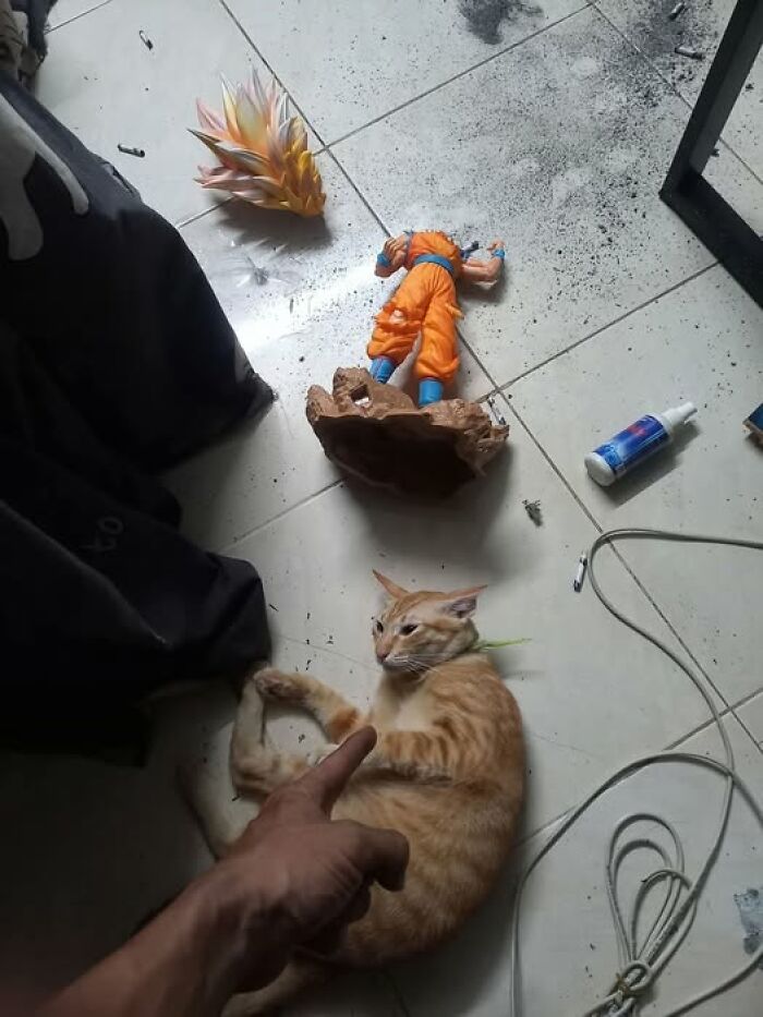 Orange tabby cat lying on a tiled floor amid broken toy pieces and scattered debris in a hilarious cat moment caught on camera.