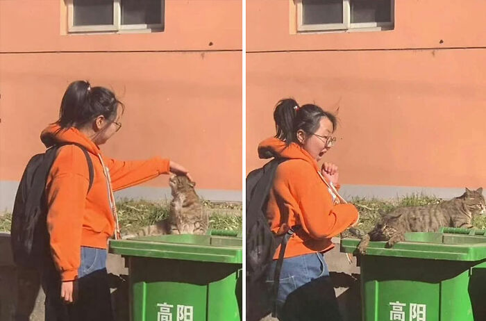 A woman in an orange hoodie interacts with a tabby cat on a green trash bin in a sunny outdoor setting.