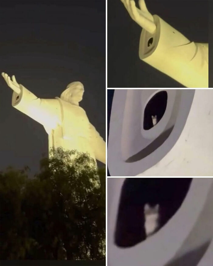 Night view of a large statue with a cat peeking out from the statue's arm cavity, a hilarious cat moment caught on camera.